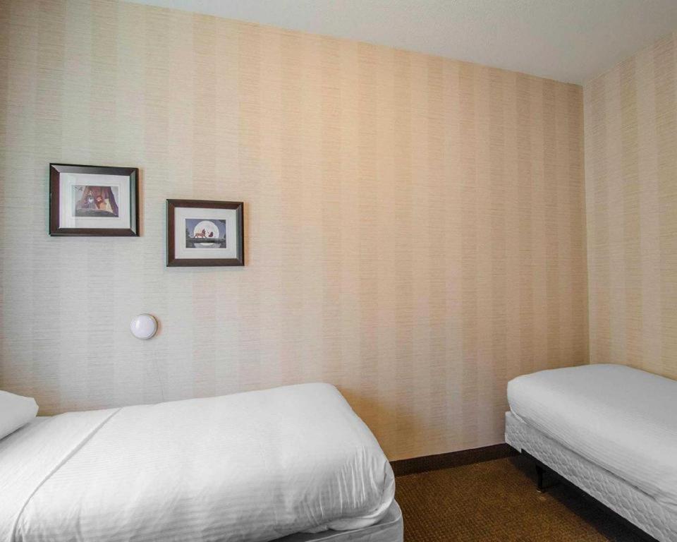 Quality Inn & Suites Grande Prairie Esterno foto